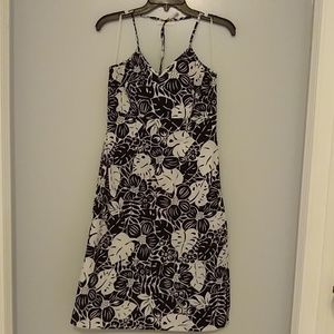 New York and Company